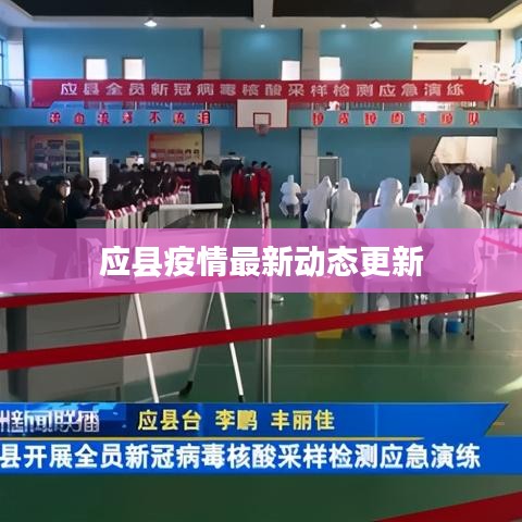 应县疫情最新动态更新