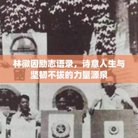 林徽因励志语录,诗意人生与坚韧不拔的力量源泉