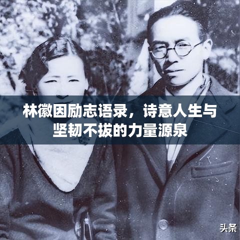 林徽因励志语录,诗意人生与坚韧不拔的力量源泉