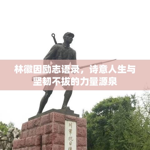 林徽因励志语录,诗意人生与坚韧不拔的力量源泉