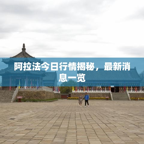 阿拉法今日行情揭秘,最新消息一览