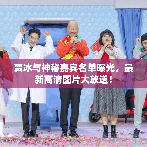 贾冰与神秘嘉宾名单曝光,最新高清图片大放送!