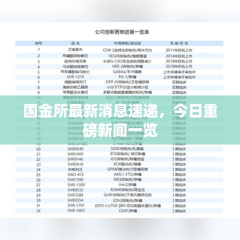 国金所最新消息速递,今日重磅新闻一览