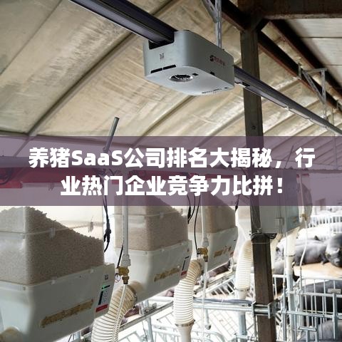 养猪SaaS公司排名大揭秘,行业热门企业竞争力比拼!