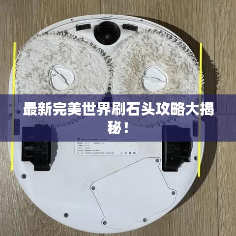 最新完美世界刷石头攻略大揭秘!