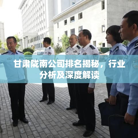 甘肃陇南公司排名揭秘,行业分析及深度解读