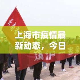 上海市疫情最新动态，今日更新消息