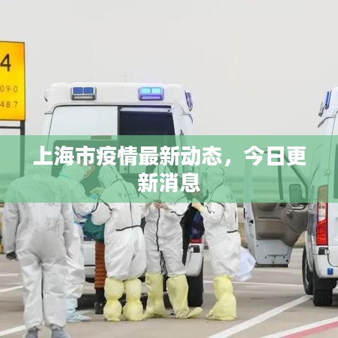 上海市疫情最新动态,今日更新消息