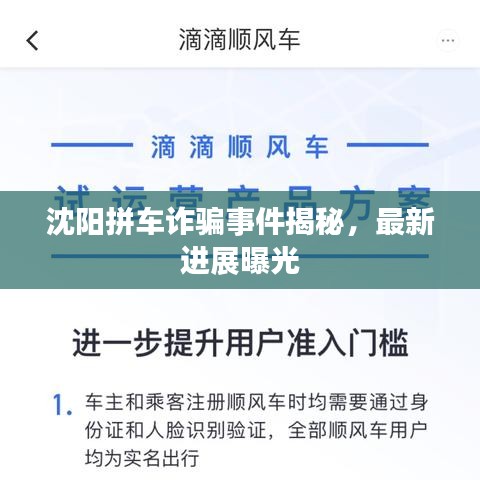 沈阳拼车诈骗事件揭秘，最新进展曝光