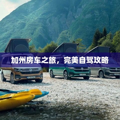 无影无踪 第4页