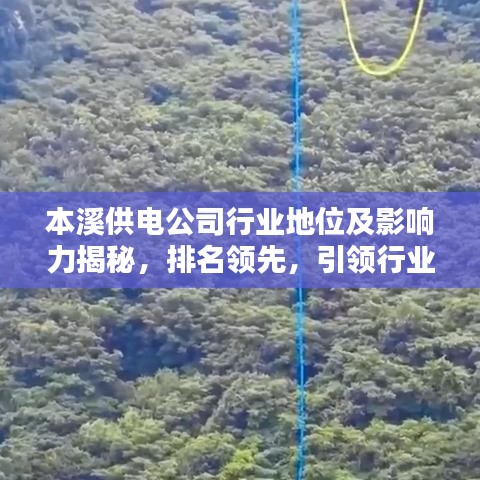本溪供电公司行业地位及影响力揭秘,排名领先,引领行业风向标