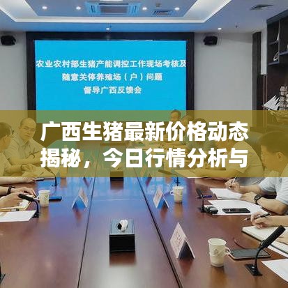 广西生猪最新价格动态揭秘，今日行情分析与趋势预测