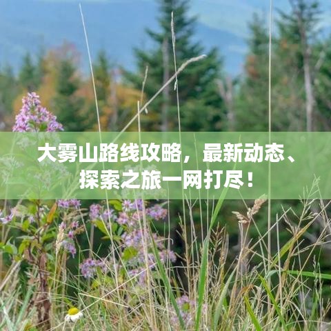 大雾山路线攻略，最新动态、探索之旅一网打尽！