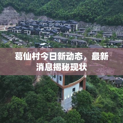 葛仙村今日新动态,最新消息揭秘现状
