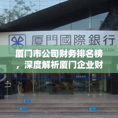 厦门市公司财务排名榜,深度解析厦门企业财务实力