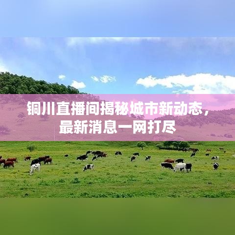 铜川直播间揭秘城市新动态,最新消息一网打尽