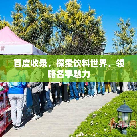 百度收录,探索饮料世界,领略名字魅力