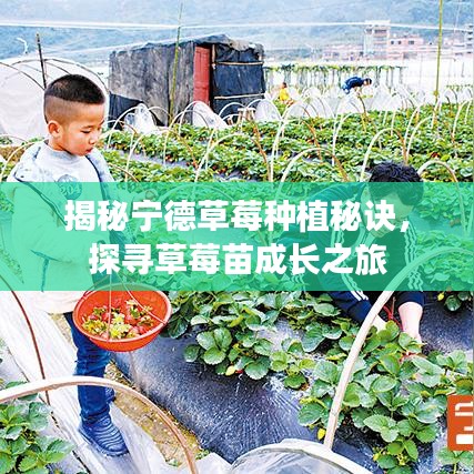 拾金不昧 第5页