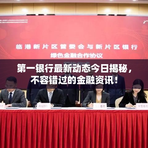 第一银行最新动态今日揭秘,不容错过的金融资讯!