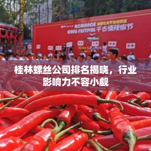 桂林螺丝公司排名揭晓,行业影响力不容小觑
