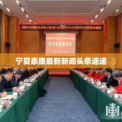 宁夏泰康最新新闻头条速递