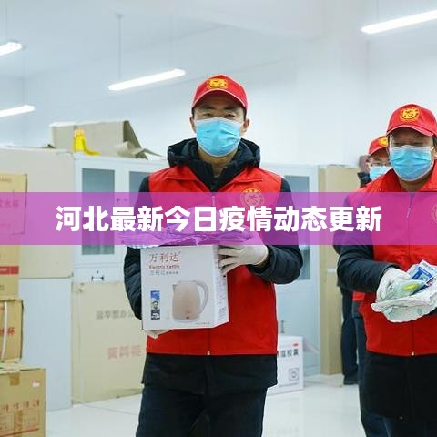 河北最新今日疫情动态更新