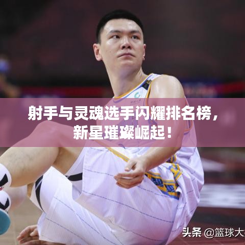 射手与灵魂选手闪耀排名榜,新星璀璨崛起!