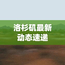 洛杉矶最新动态速递
