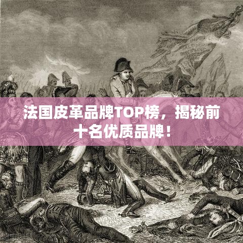 法国皮革品牌TOP榜,揭秘前十名优质品牌!