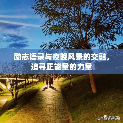 励志语录与夜晚风景的交融,追寻正能量的力量
