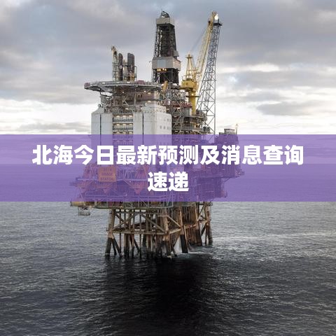 北海今日最新预测及消息查询速递