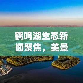 鹤鸣湖生态新闻聚焦,美景与可持续未来的完美融合