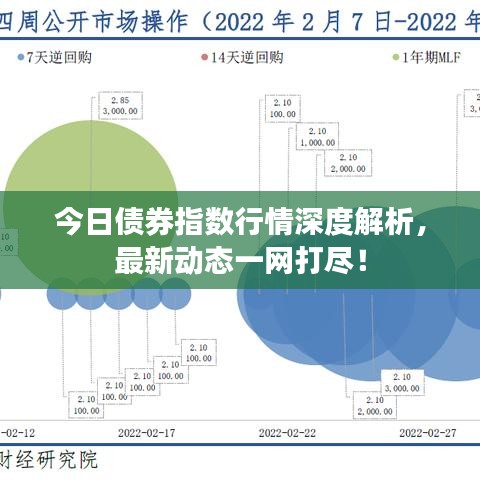 今日债券指数行情深度解析,最新动态一网打尽!