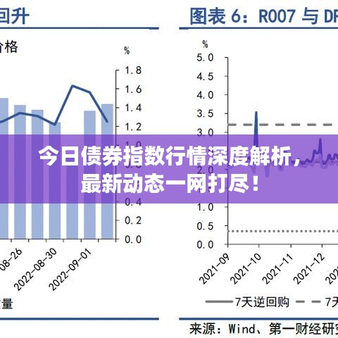 今日债券指数行情深度解析,最新动态一网打尽!