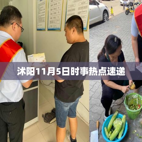 沭阳11月5日时事热点速递
