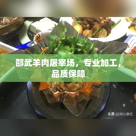 邵武羊肉屠宰场,专业加工,品质保障