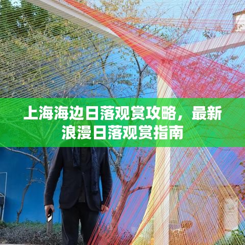 上海海边日落观赏攻略,最新浪漫日落观赏指南