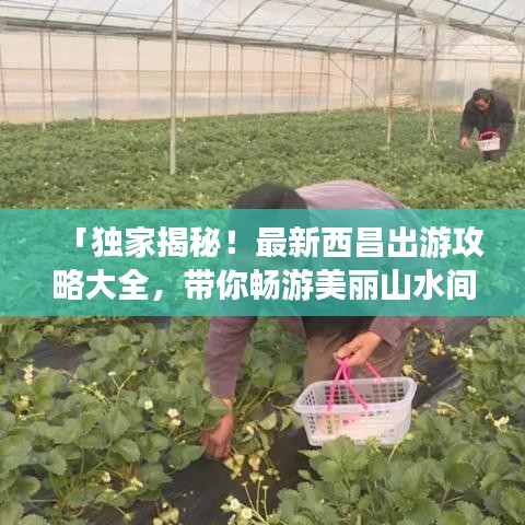 「独家揭秘!最新西昌出游攻略大全,带你畅游美丽山水间!」