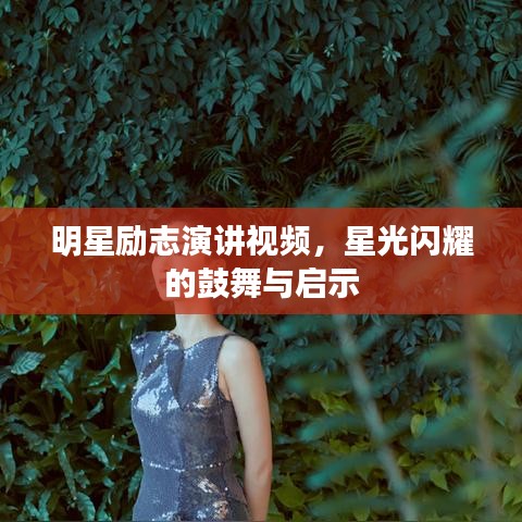 明星励志演讲视频，星光闪耀的鼓舞与启示
