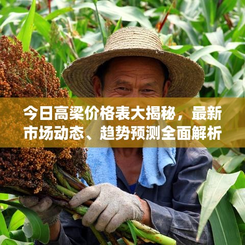 今日高梁价格表大揭秘,最新市场动态、趋势预测全面解析!