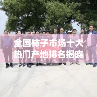 全国柿子市场十大热门产地排名揭晓！