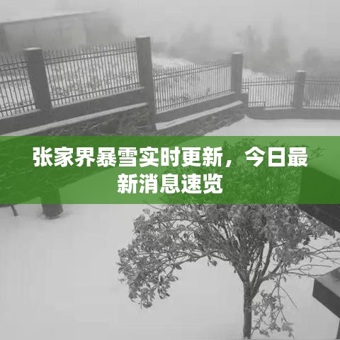 张家界暴雪实时更新,今日最新消息速览