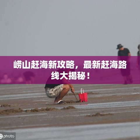 崂山赶海新攻略,最新赶海路线大揭秘!