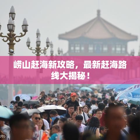 崂山赶海新攻略，最新赶海路线大揭秘！