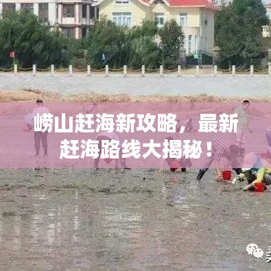 崂山赶海新攻略,最新赶海路线大揭秘!