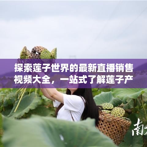 探索莲子世界的最新直播销售视频大全,一站式了解莲子产业资讯