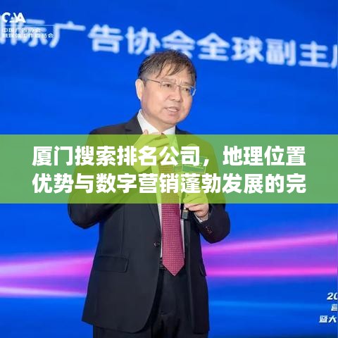 厦门搜索排名公司,地理位置优势与数字营销蓬勃发展的完美结合