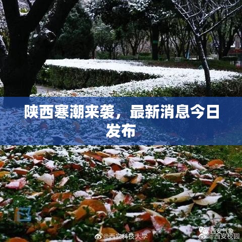 陕西寒潮来袭,最新消息今日发布