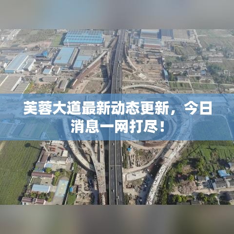 芙蓉大道最新动态更新，今日消息一网打尽！