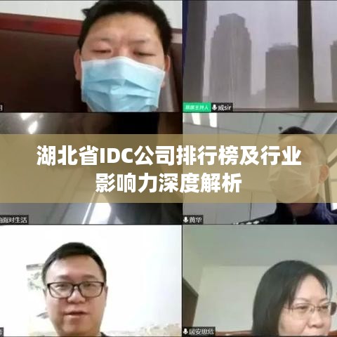湖北省IDC公司排行榜及行业影响力深度解析